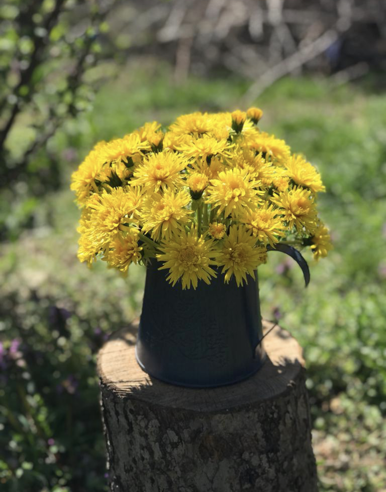 Цветы ручной работы Real Flower Букет Одуванчиков желтых – купить в Москве,  цены в интернет-магазинах на Мегамаркет