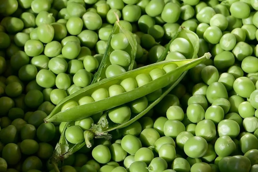 Вкус и аромат