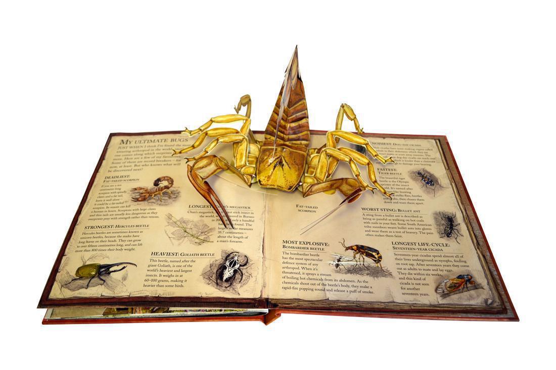 Жуки, насекомые, пауки. Энциклопедия. Книга-панорама - Bugs. Journey.  Pop-Up book - купить развивающие книги для детей в интернет-магазинах, цены  на Мегамаркет | 3013_1