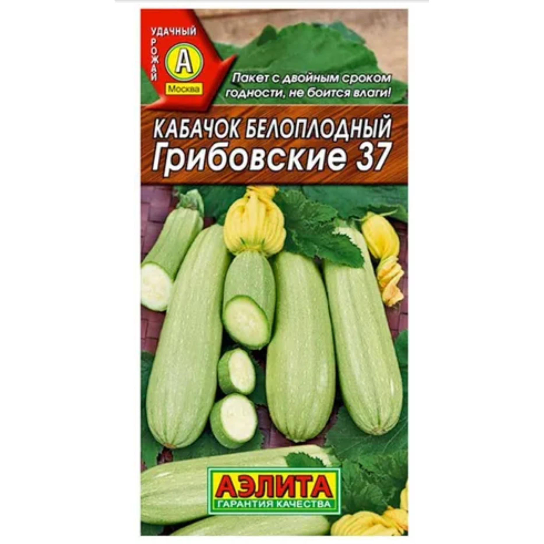 Кабачок грибовский 37 фото. Кабачки сорт Грибовский. Кабачок Грибовские 37. Кабачок Сосновский белоплодный.