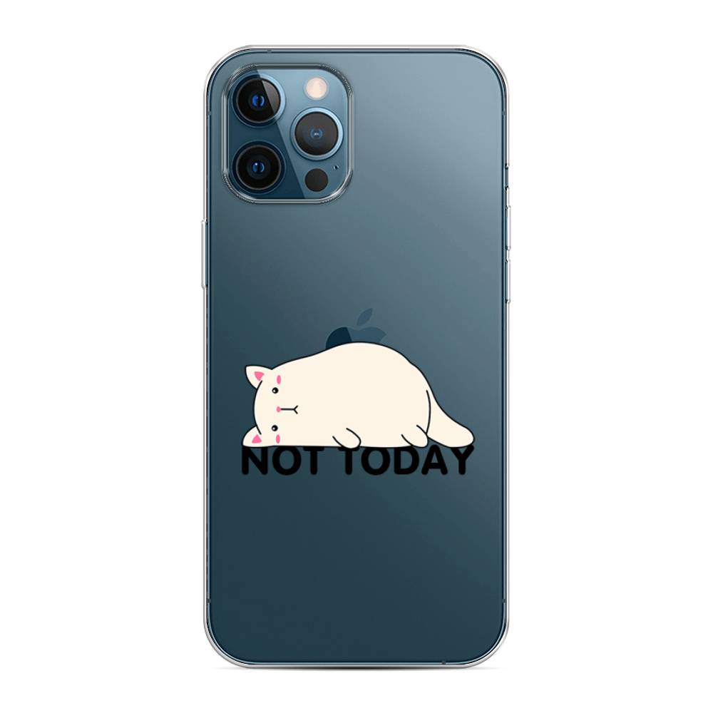 Apple iPhone 12 Pro Max Cat not today Case