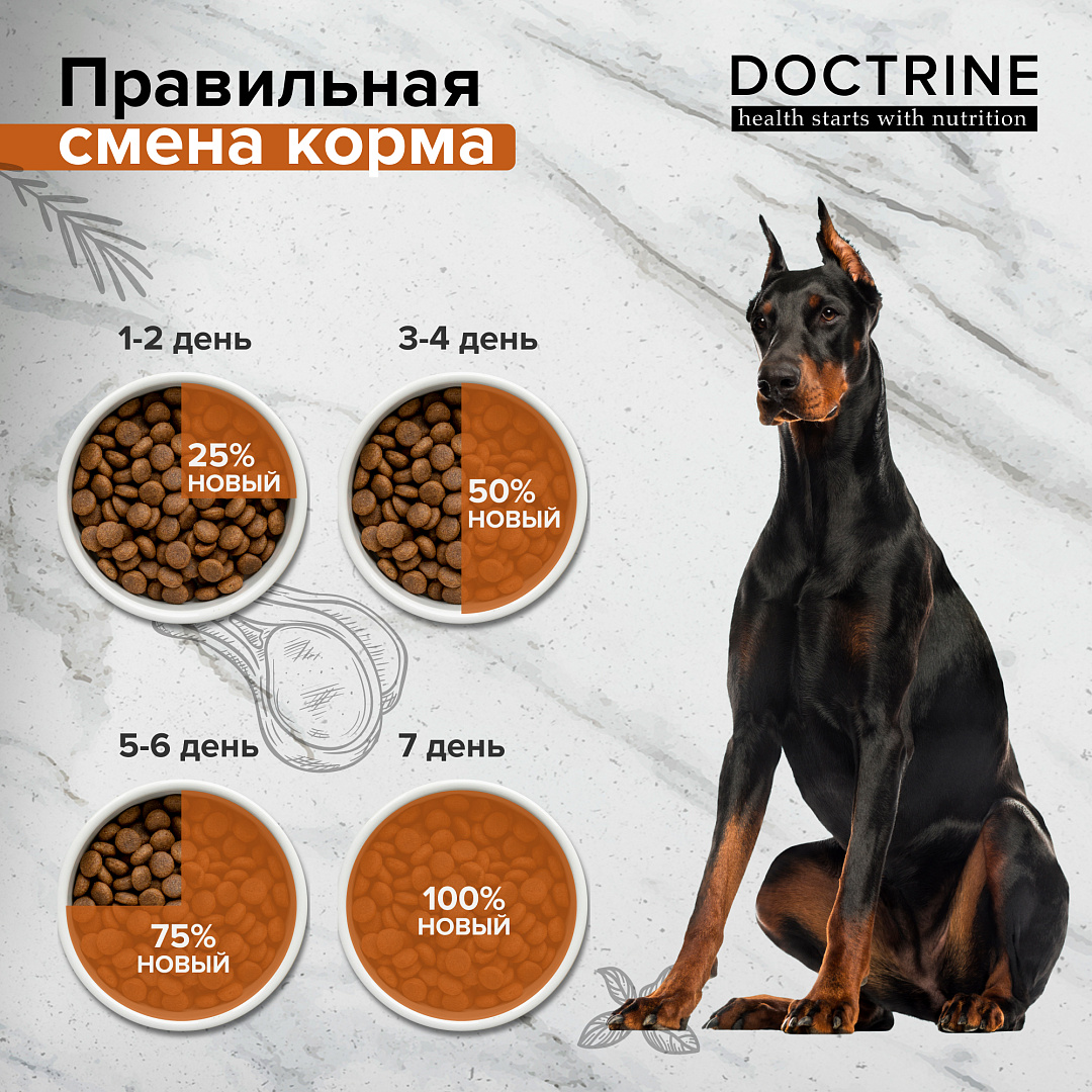 доктрин корм для кошек. собачий корм джерри цена. Doctrine корм. корм для щенков малых пород doctrine. корма с олениной для собак.