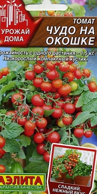 Семена томат Аэлита Чудо на окошке 1 уп. - купить в Москве, цены на Мегамаркет | 100029493679