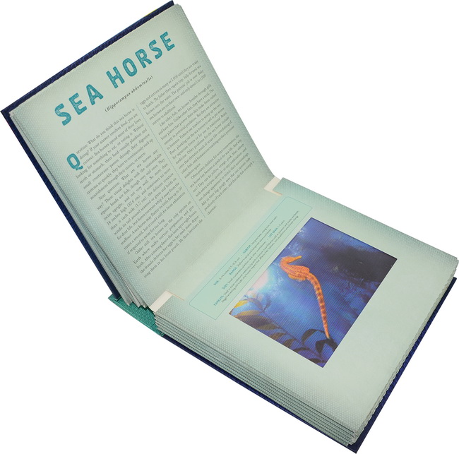Книга отзывы покупателей. Океан. Фотикулярная книга. Photicular book. Книга с двигающимися картинками океан. 3d книга океан.