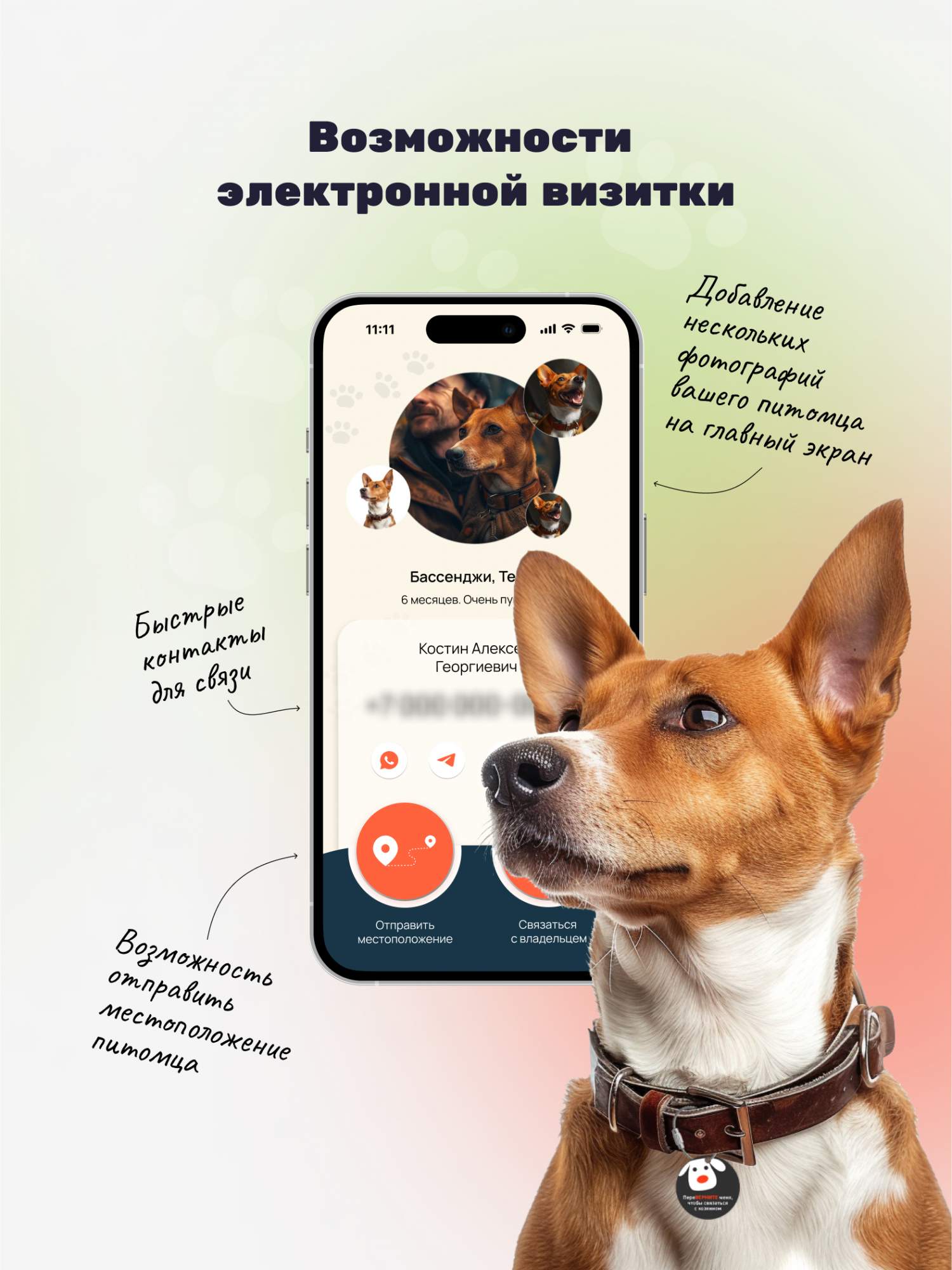 Купить умный QR-адресник для собак MyQRCards на ошейник, цены на Мегамаркет  | Артикул: 600012207721