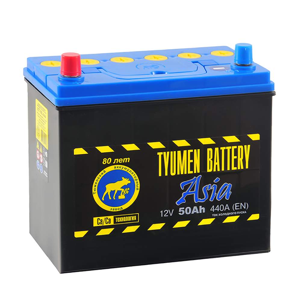 Аккумулятор TYUMEN BATTERY ASIA 50 Ач 440А П/П TNSa50.1 - купить в БИ-БИ Магазины, цена на Мегамаркет
