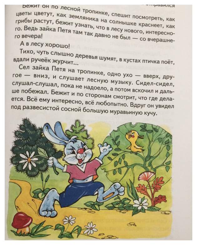 Про Зайку Петю Книга Купить