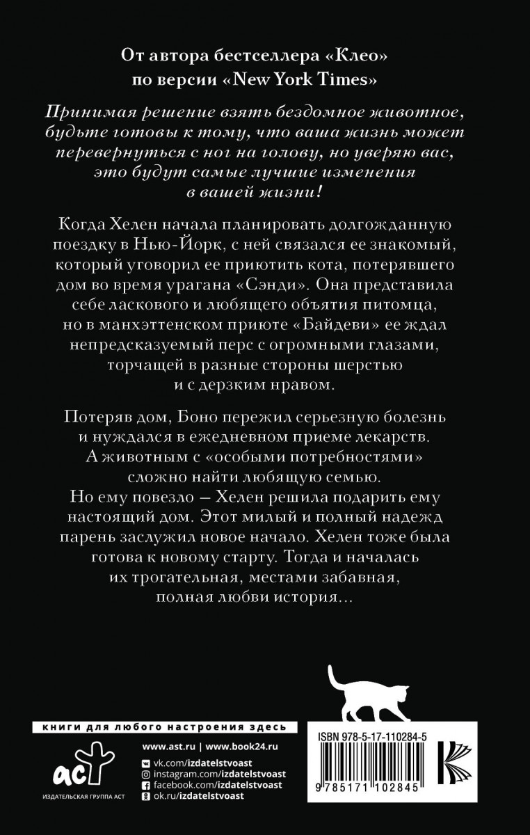 Боно. Удивительная история спасенного кота, вдохновившего общество - купить  современной литературы в интернет-магазинах, цены на Мегамаркет |