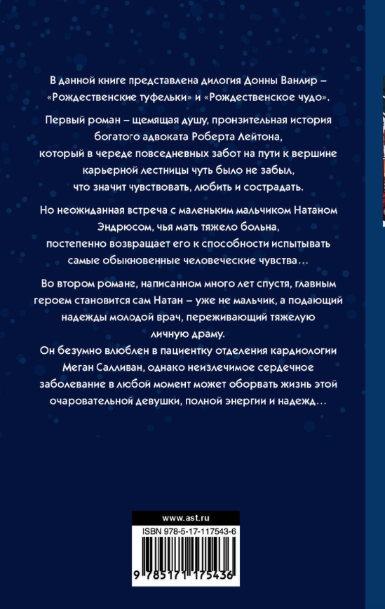 Рождественское благословение книга. Ванлир Рождественские благословение. Рождественское благословение Донна. Рождественские туфли Донна Ванлир книга.