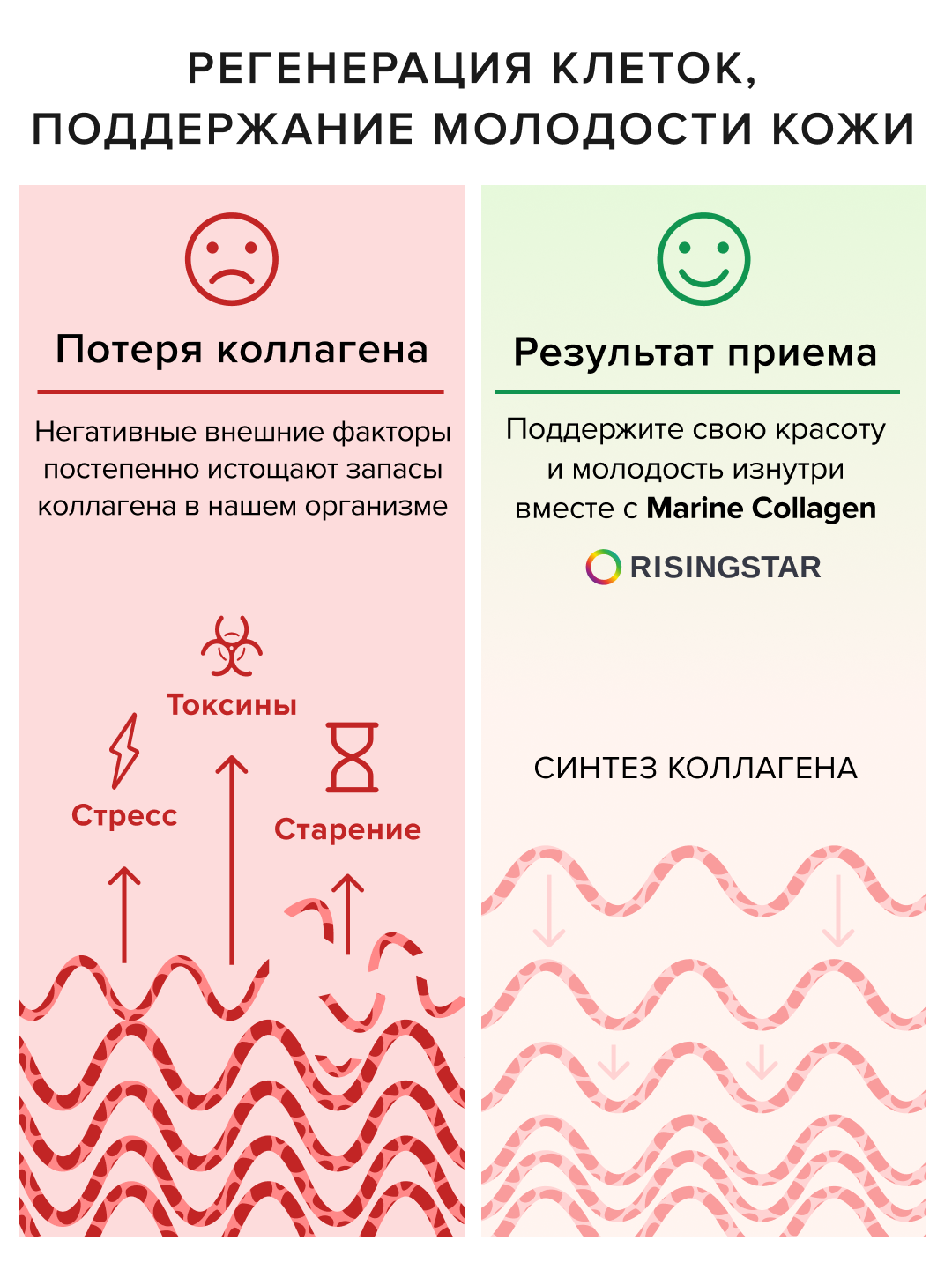 Risingstar коллаген гидролизованный морской с витамином. Коллаген для приема. Длительность приема коллагена. Роль коллагена в организме. Risingstar коллаген.