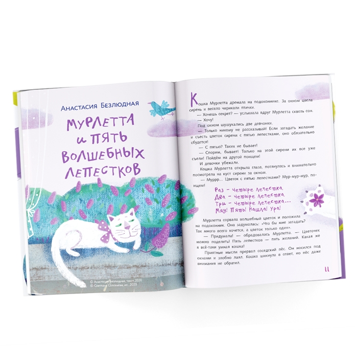 У кошки мурлетты сыночек