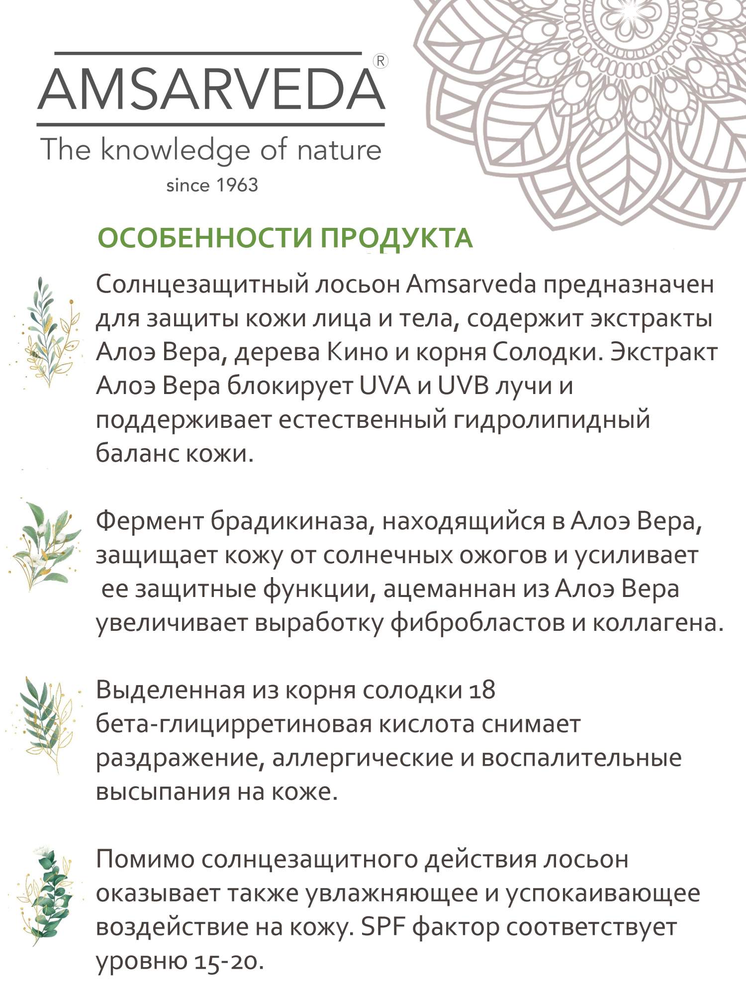 Купить натуральный солнцезащитный лосьон AMSARVEDA с экстрактом алоэ вера,  200 мл, цены в Москве на Мегамаркет | Артикул: 600004882457