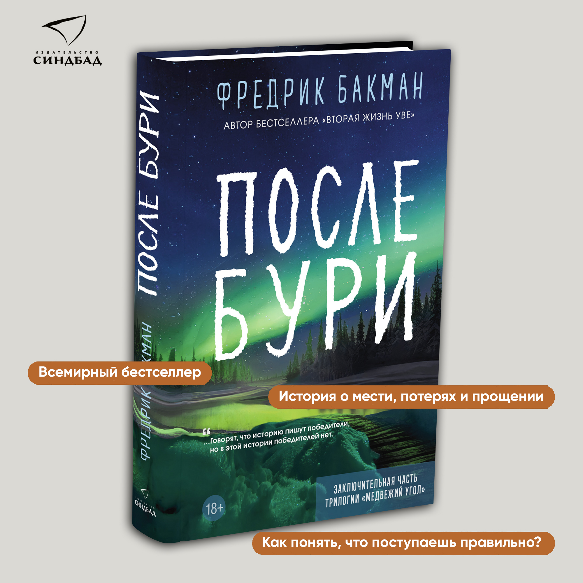 После бури - купить современной прозы в интернет-магазинах, цены на  Мегамаркет | 978-5-00131-584-1