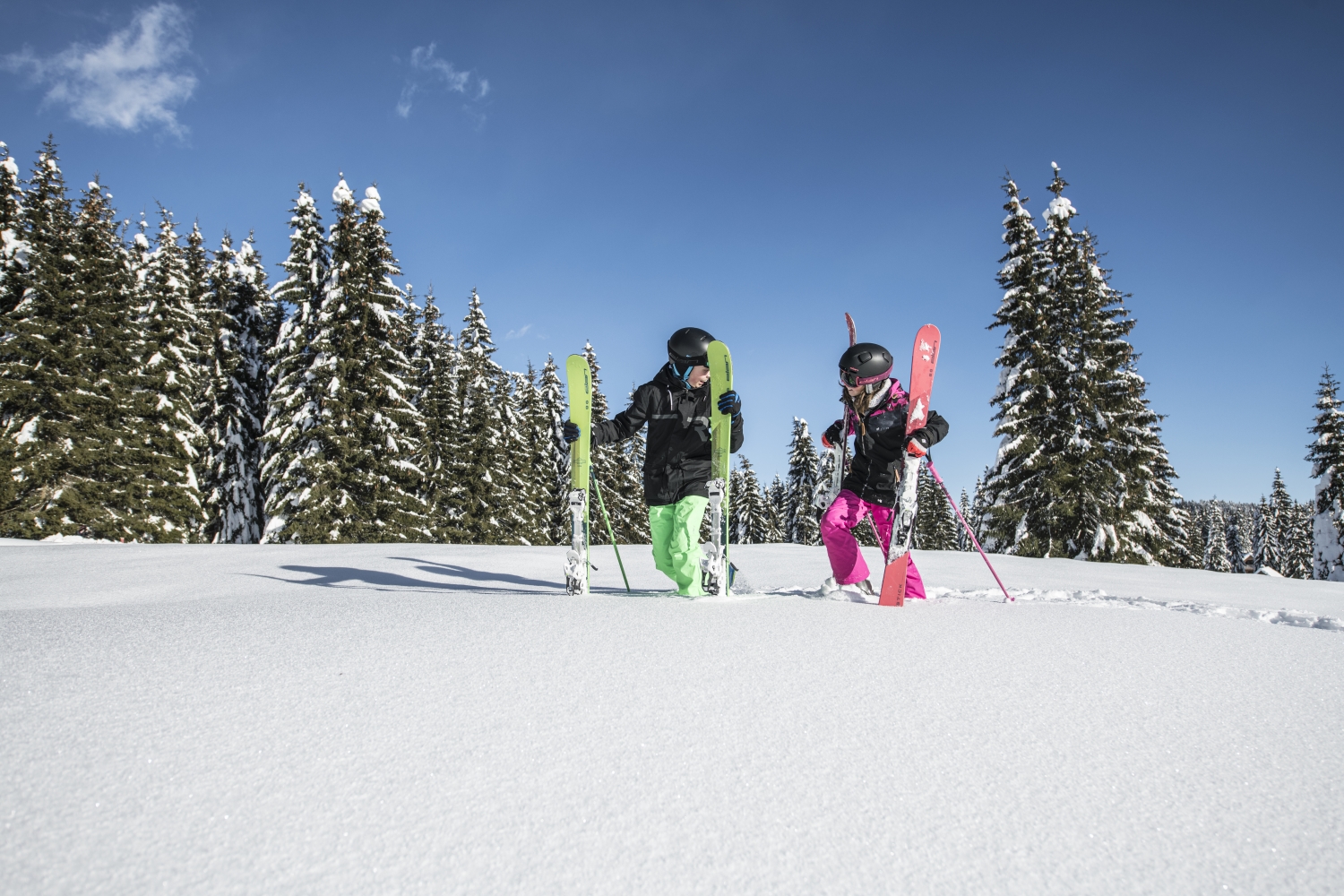 Горные лыжи Elan RC Ace QS + EL 4.5 Shift 110-120 2022 blue/green, 120 см
