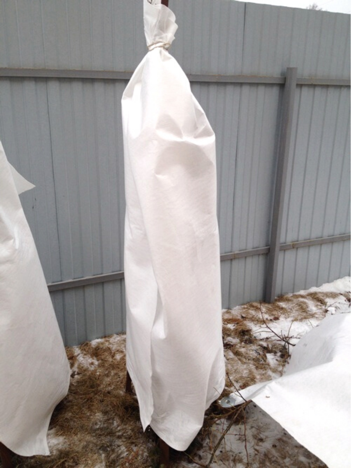 Зимнее укрытие агротекс 200. Спанбонд белый кзнм 60. Спанбонд для роз на зиму плотность. Пакеты на деревьях укрывающие крону. Укрытие растений.