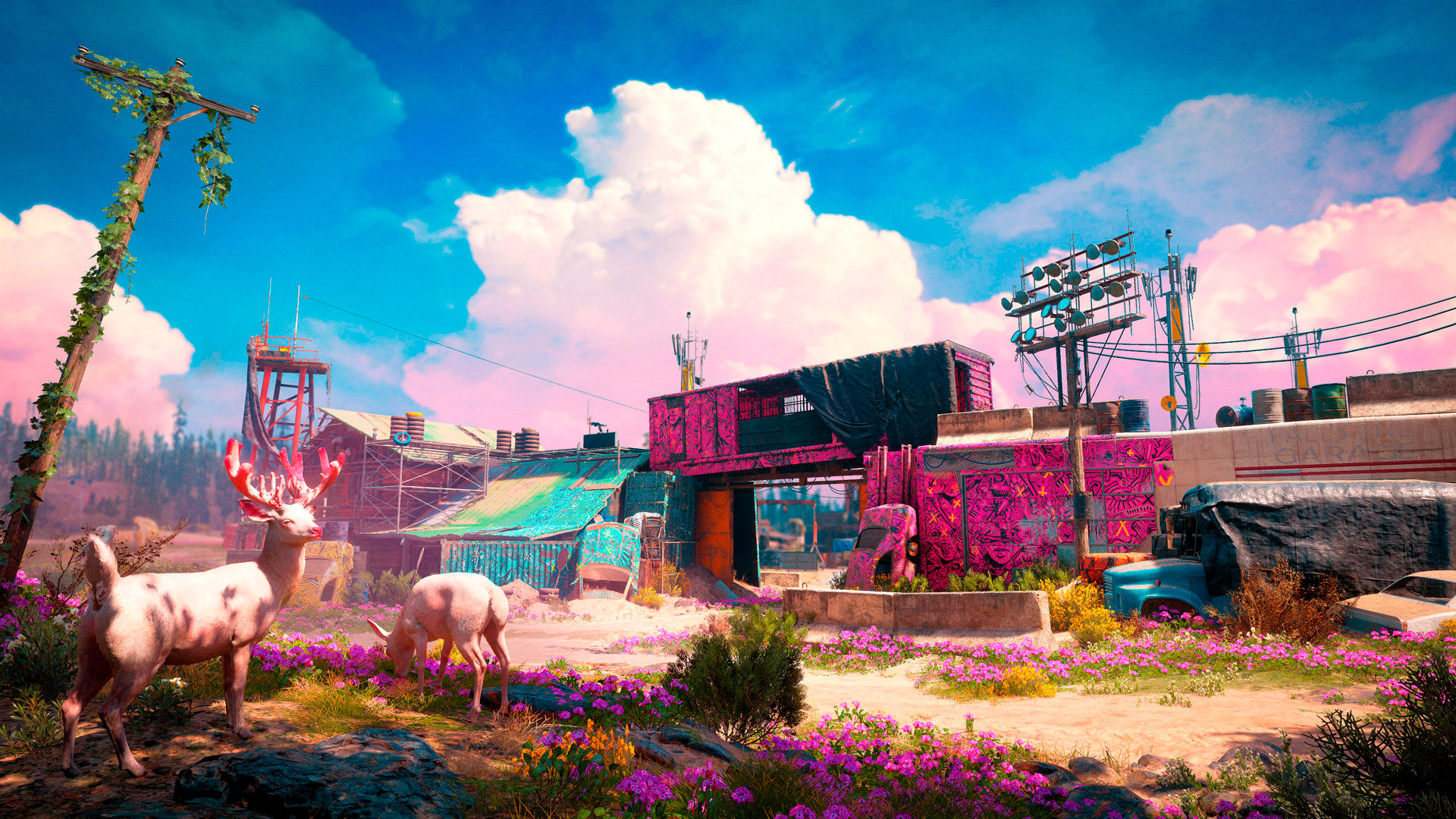 Фотографии far cry new dawn