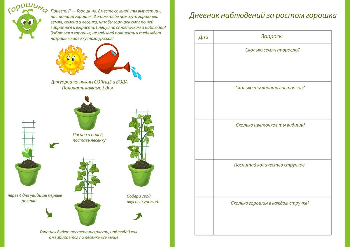 Купить развивающая игра Горошина Goroshina01, цены на Мегамаркет