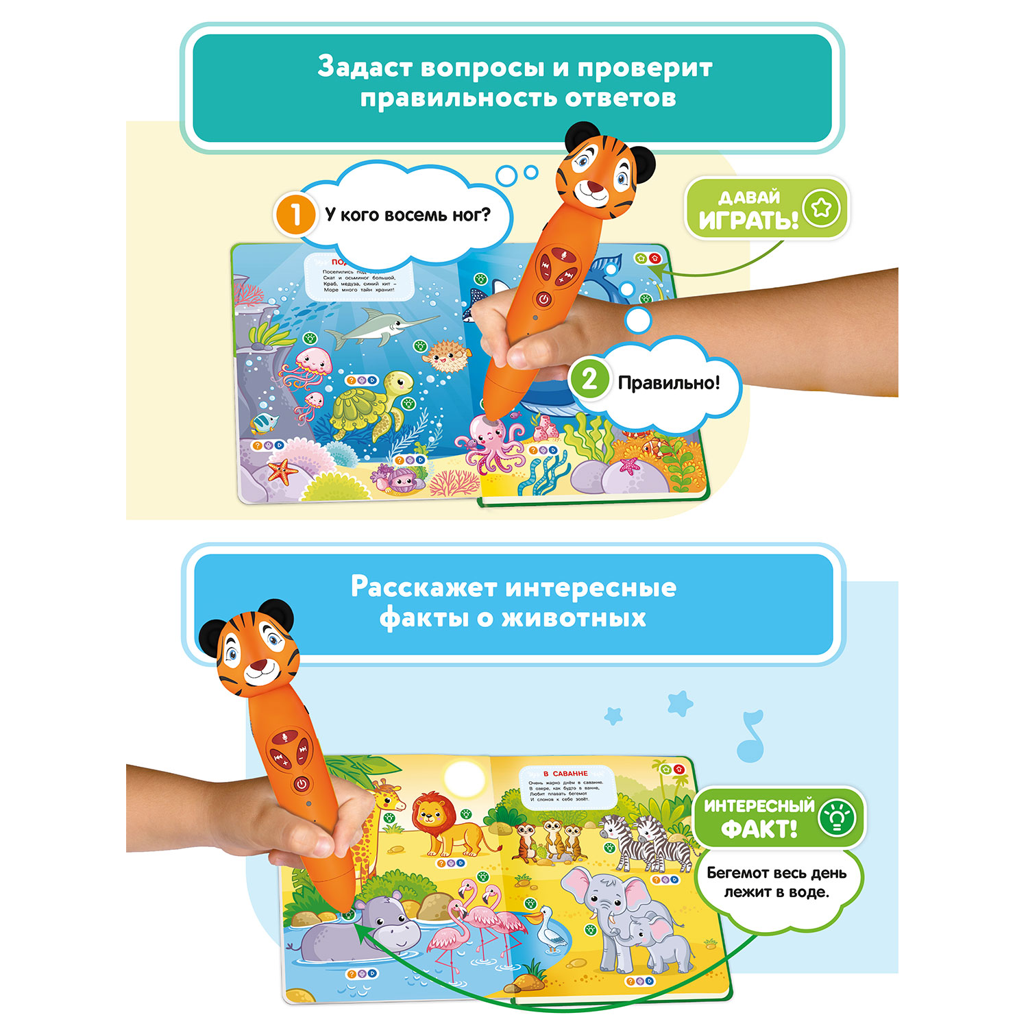 Игрушка BertToys логопедическая Тигренок Рыки + Книга Животные – купить в  Москве, цены в интернет-магазинах на Мегамаркет