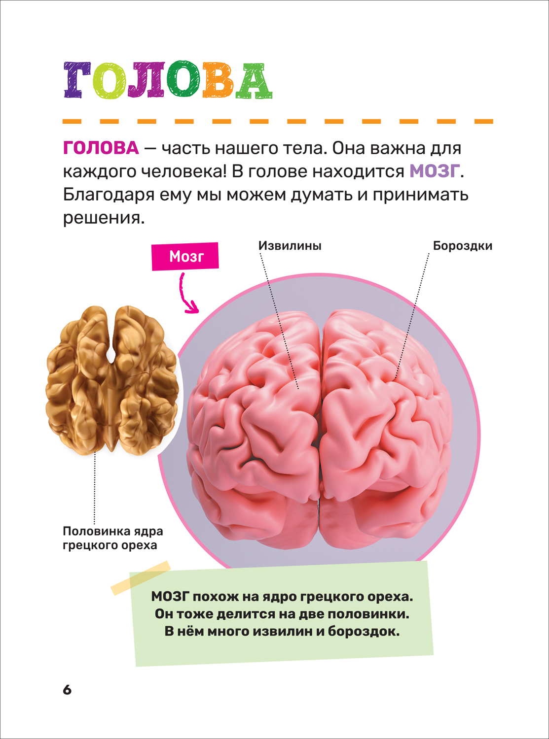 Пять основных правил эротического массажа > информирует Укрсалон