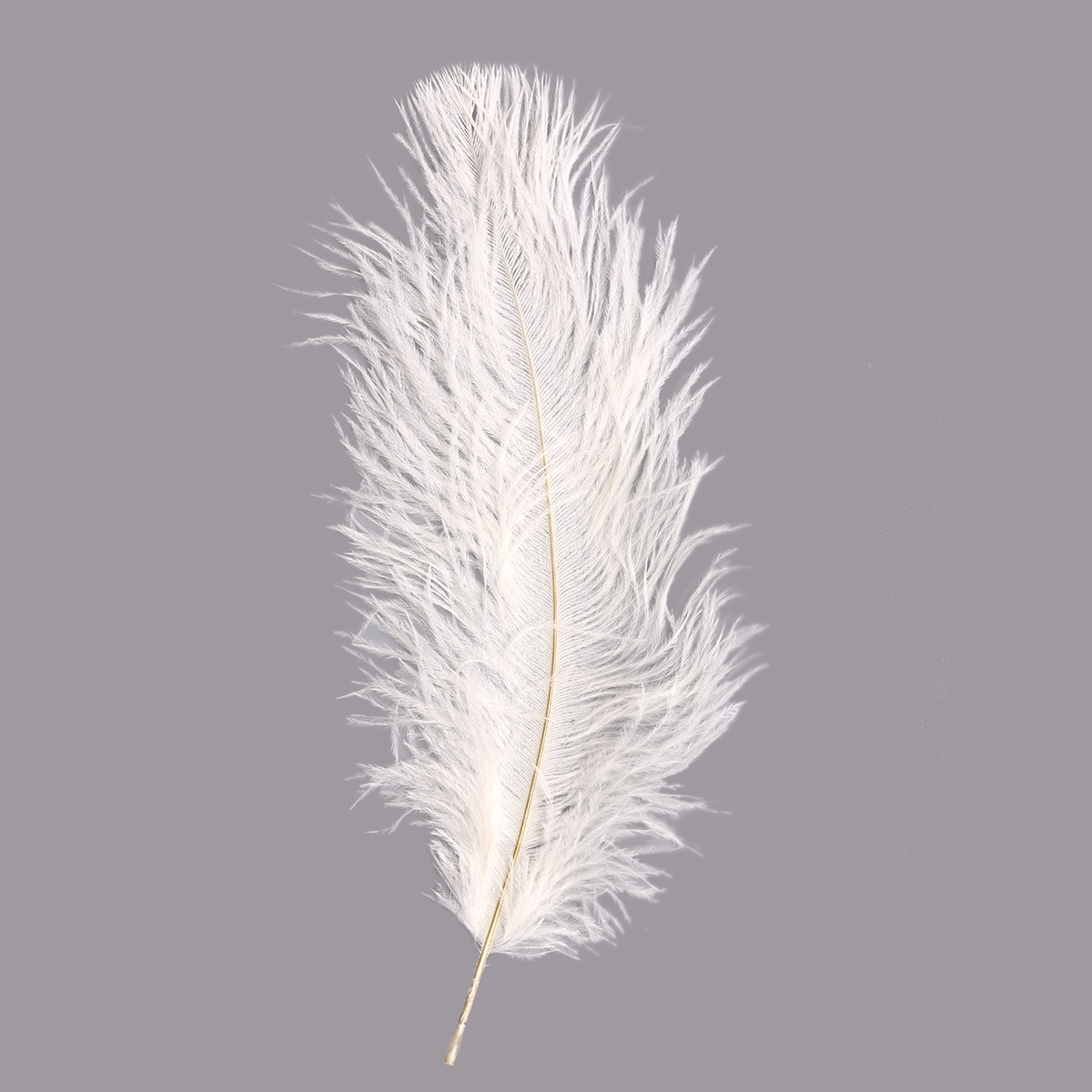 Что значит белое перо. Перья декоративные. Белое перо. Перо страуса. Страусиные перья