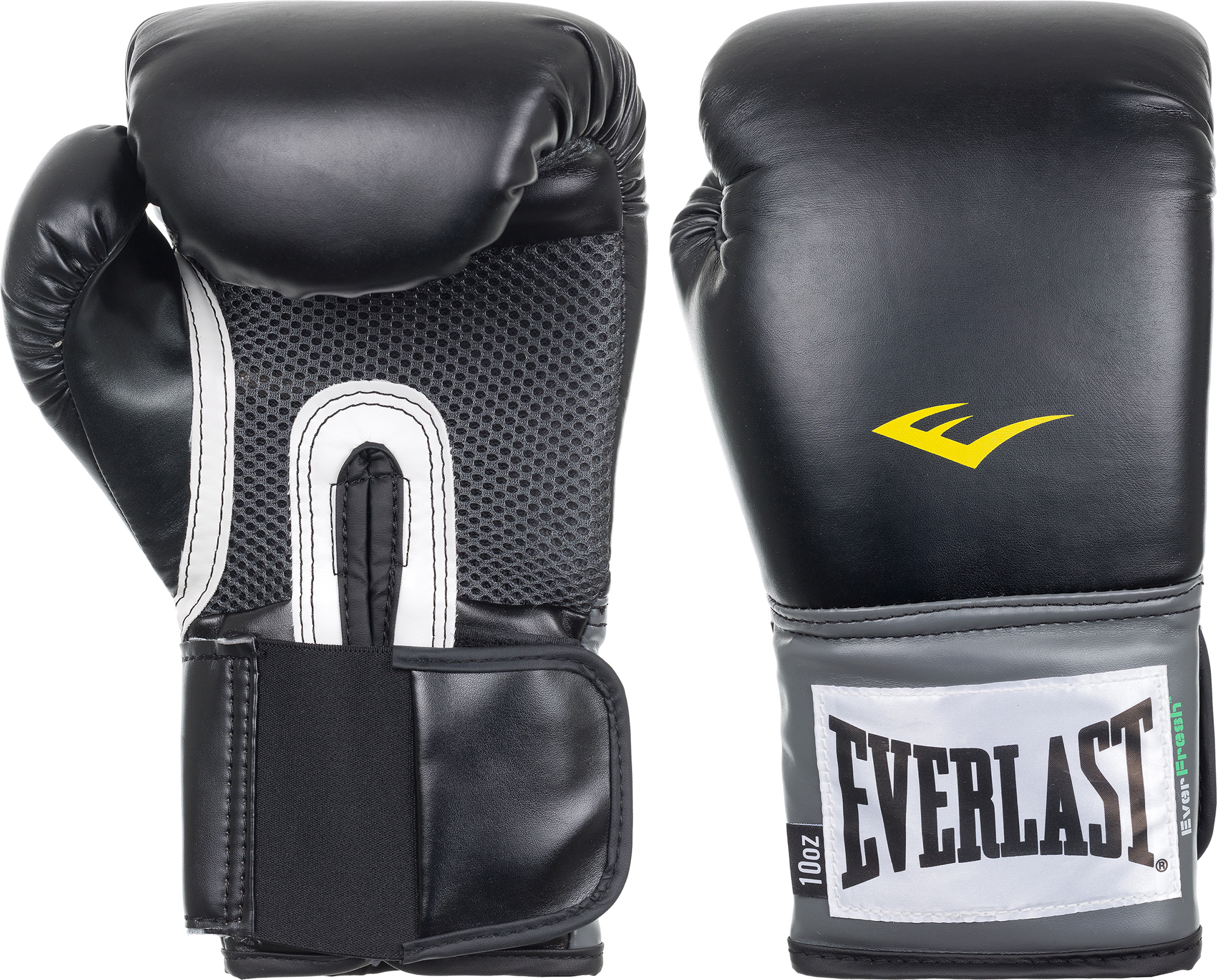 Everlast ever fresh sales