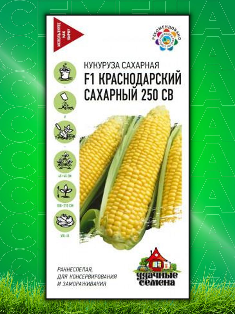 Купить Семена Сахарной Кукурузы В Краснодарском Крае