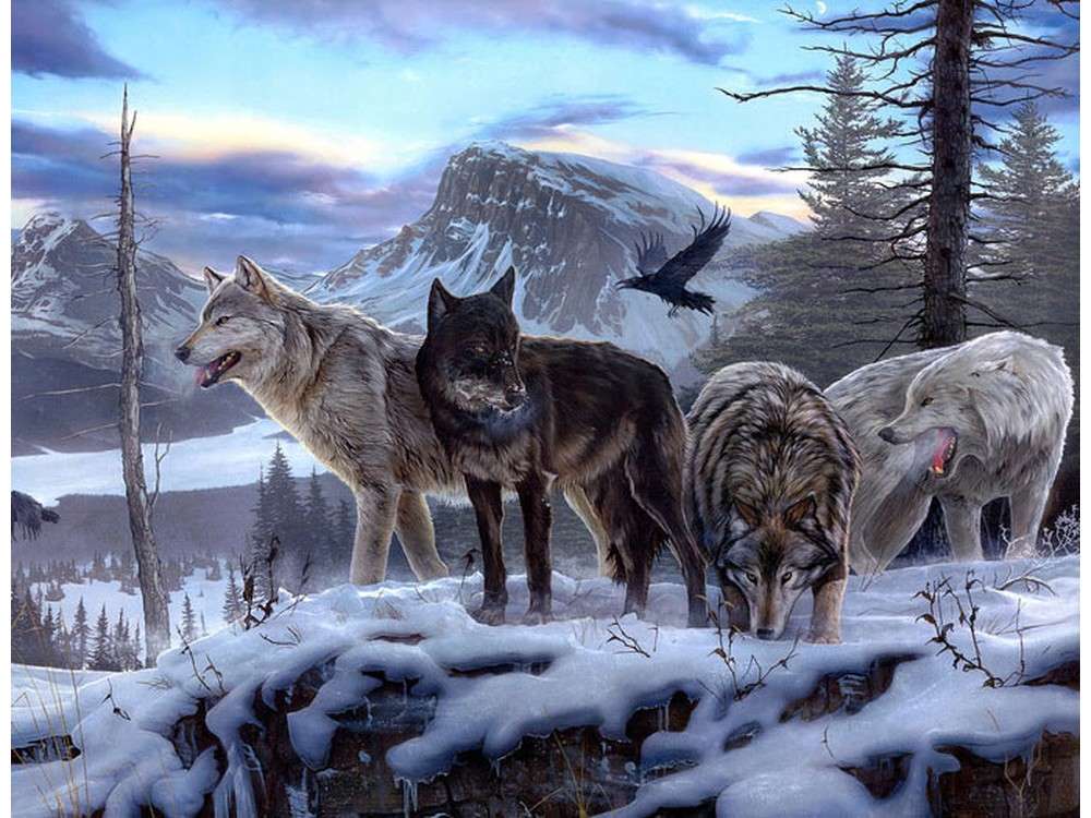 Купить картина по номерам Цветной Волчья стая на скале, 30x40, цены наМегамаркет