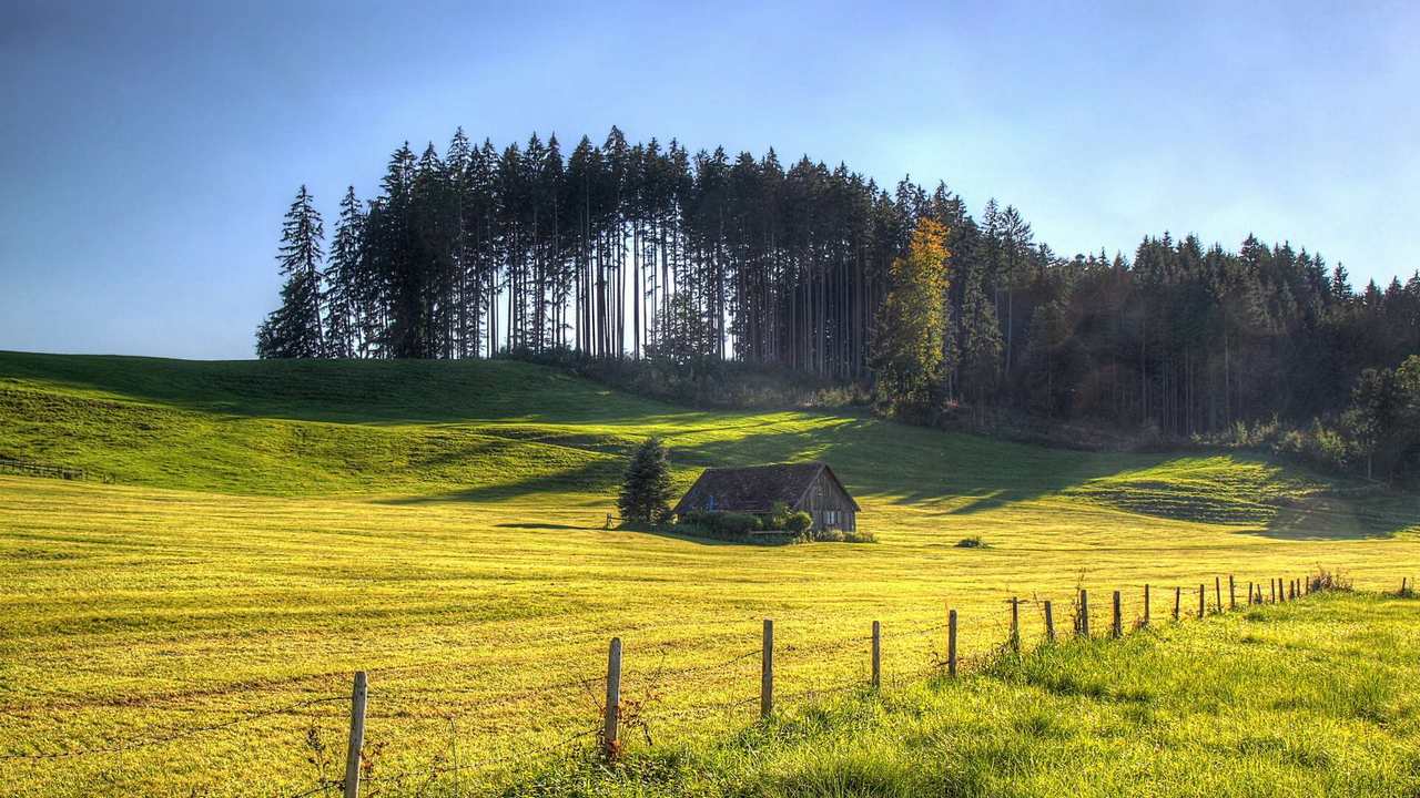 Луг в деревне фото