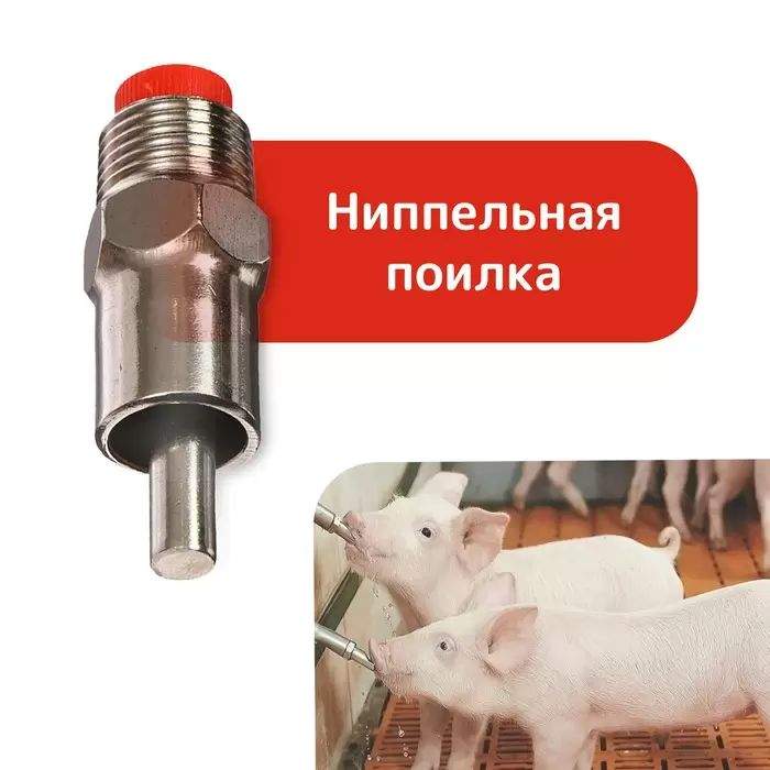 Ниппельные поилки для свиней