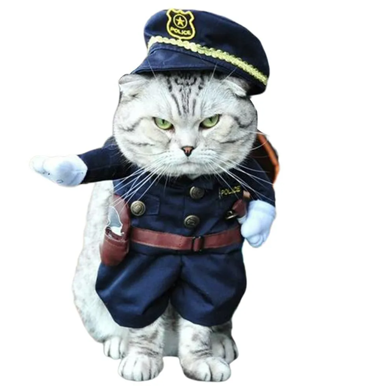 Полицейский кот