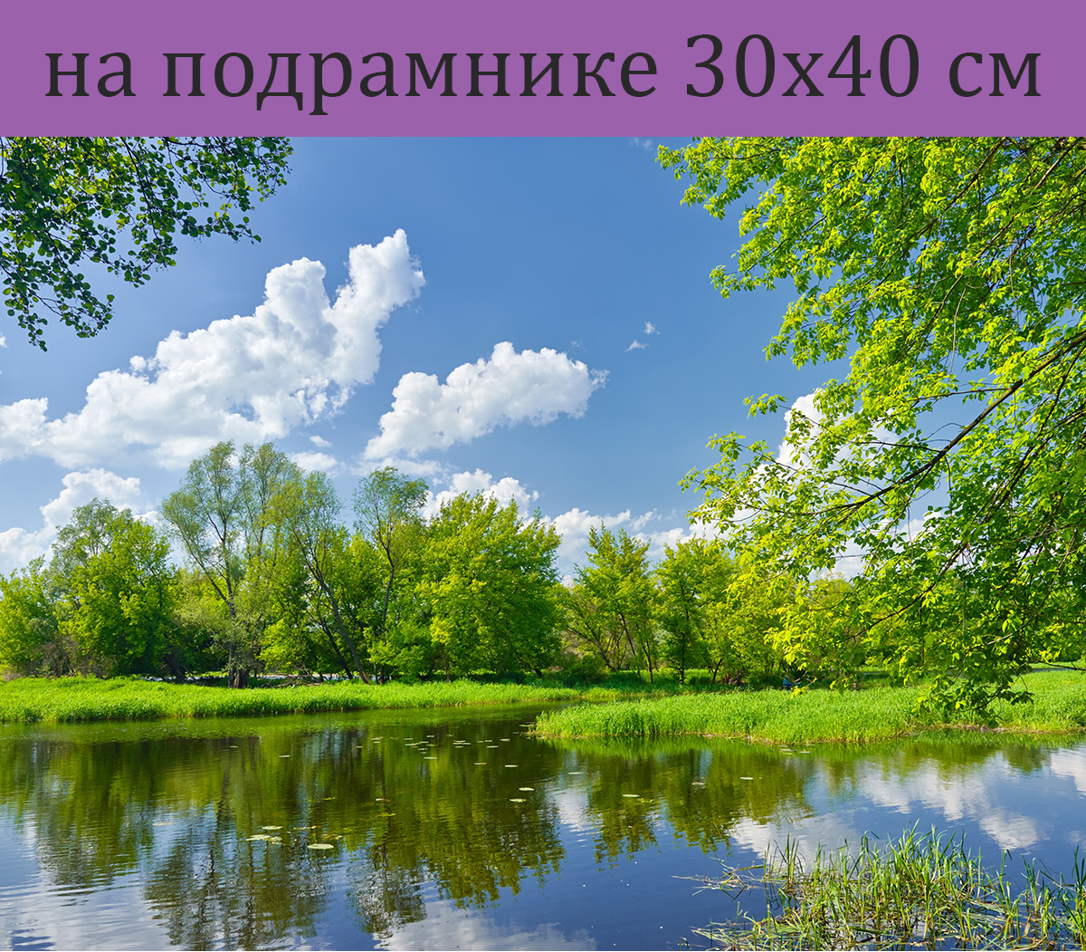 Летняя Пора Картинки