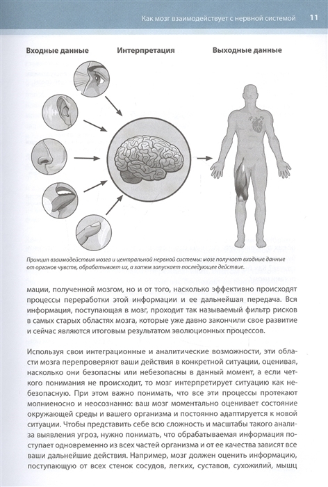 Книга тело мозг