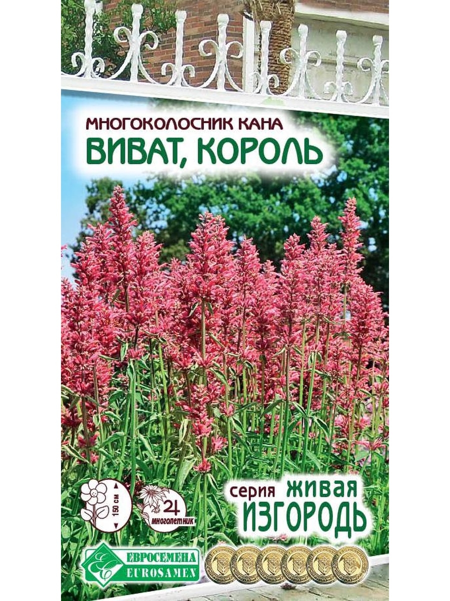 Семена многоколосник Евросемена Виват король 27400 1 уп. - купить в Москве,  цены на Мегамаркет | 100031968390