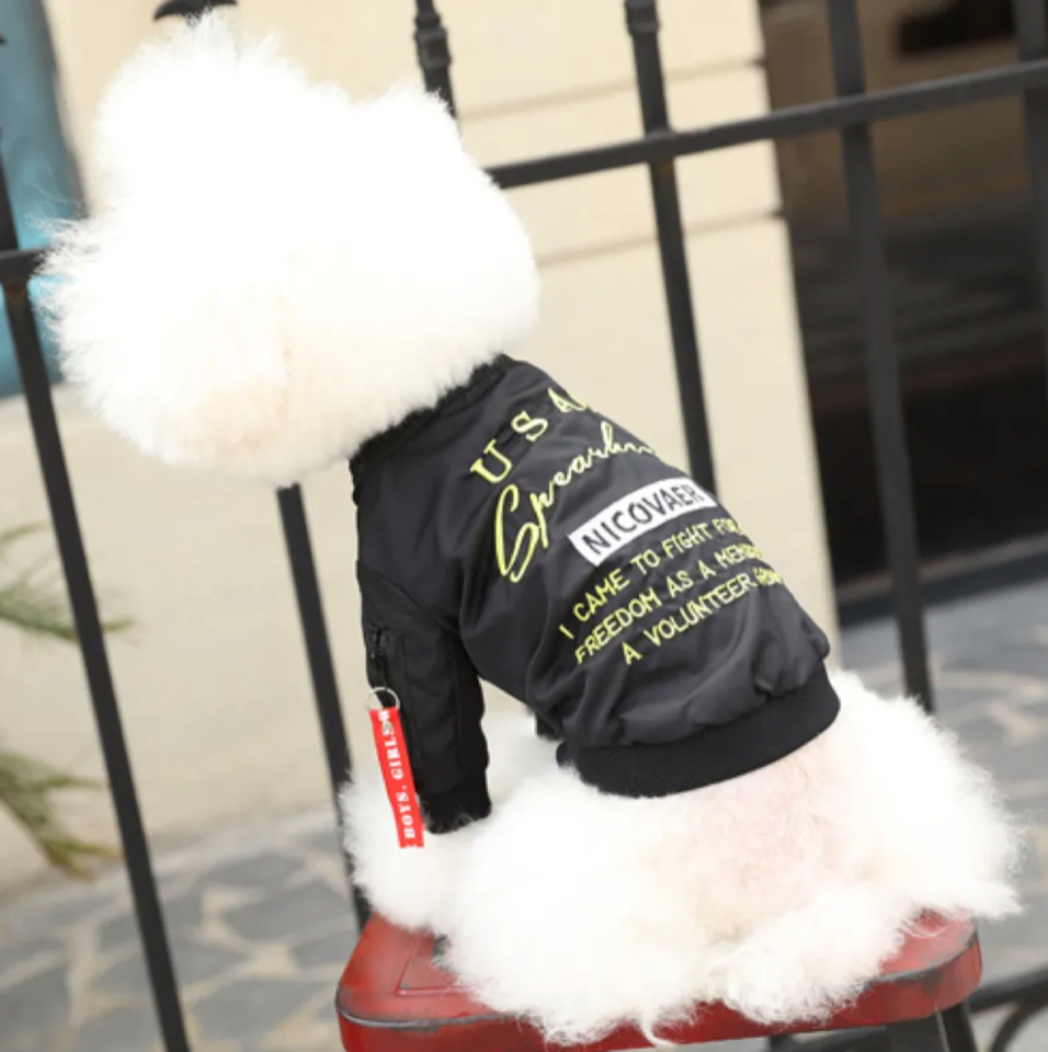 Куртка для собак и кошек Nicovaer Волонтер, непромокаемая, черная, L