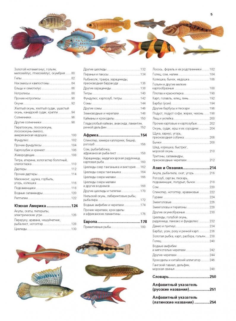 Pin de Cangrejos em pescados que nos comemos Espécies de peixes, Peixes, Dicas d