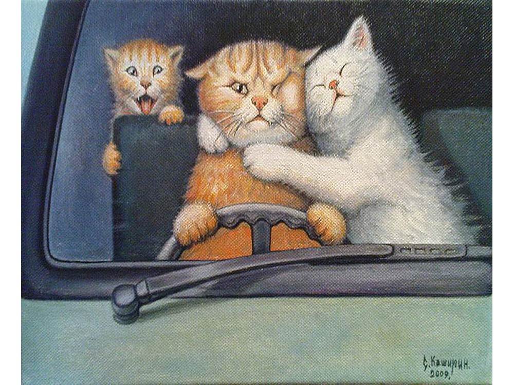 Кот за рулем