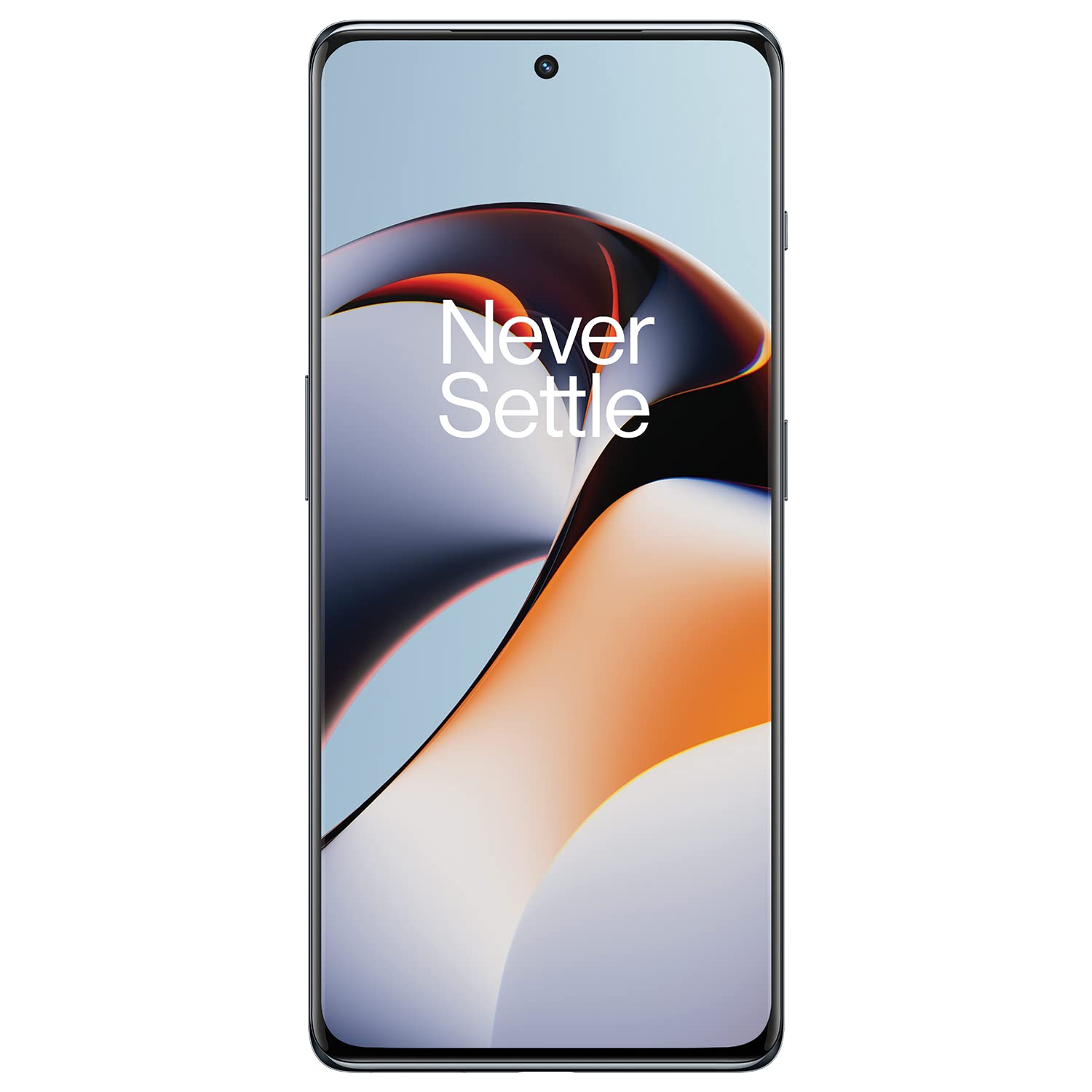 Смартфон OnePlus 11R 16/256Gb Silver – купить в Москве, цены в  интернет-магазинах на Мегамаркет