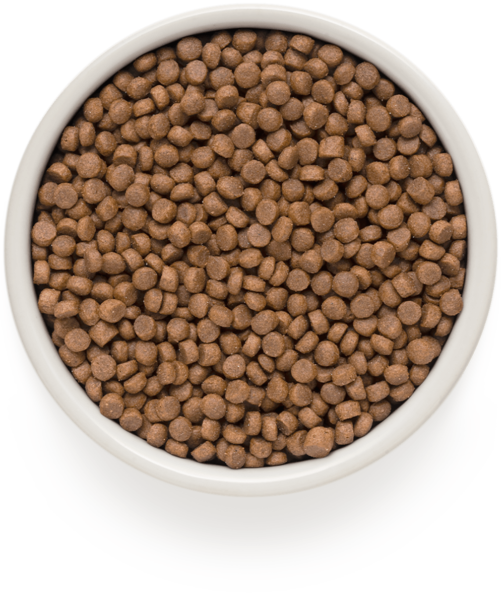 Корм Грандорф для стерилизованных кошек - купить в интернет-магазине ...