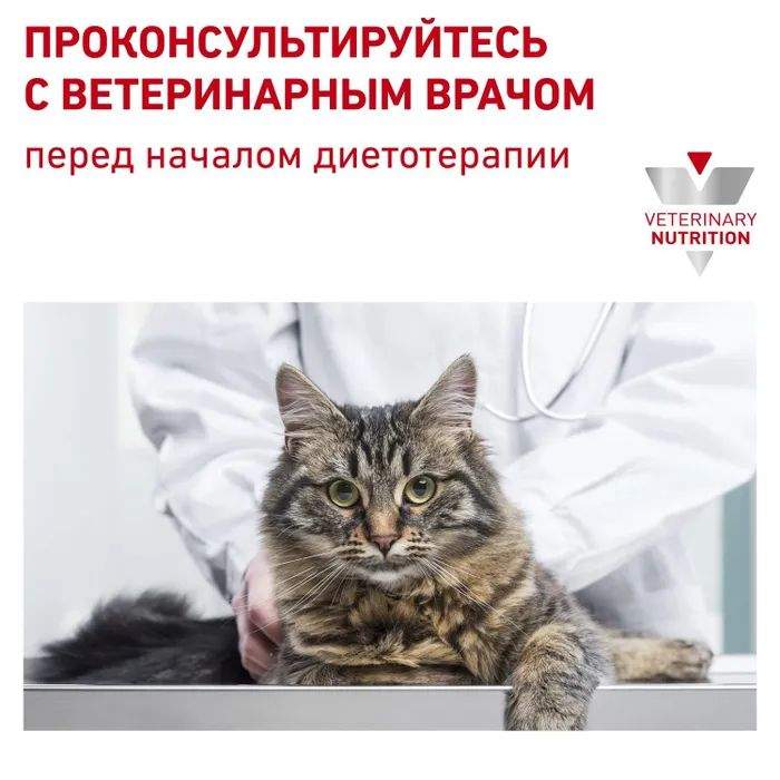 Royal canin high hot sale dilution cat food