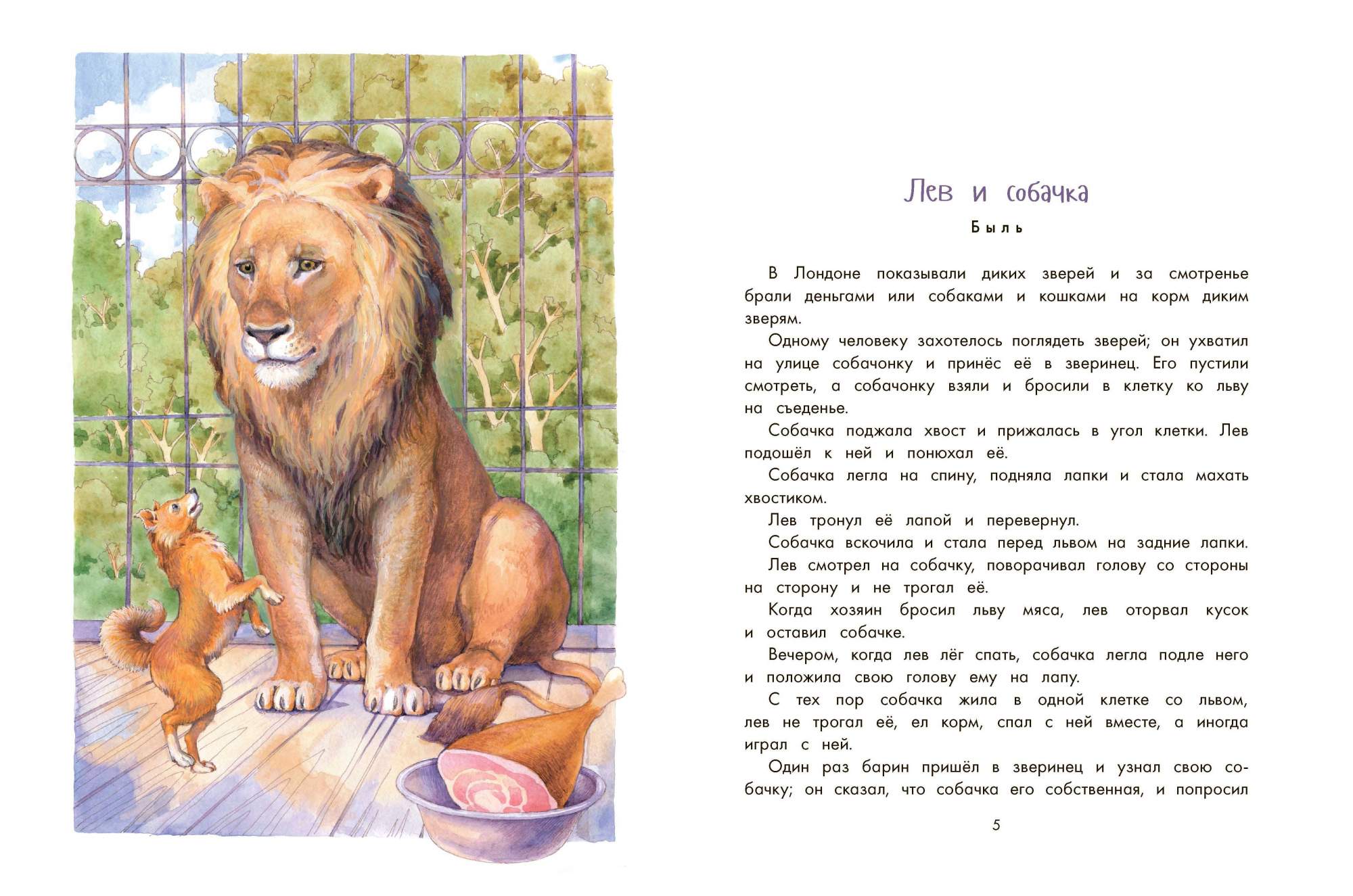 Лев рассказ для детей 1 класс. Лев рассказ для детей 1 класс. Льва называют царем зверей. Лев рассказ для детей 1 класс. Лев самый.