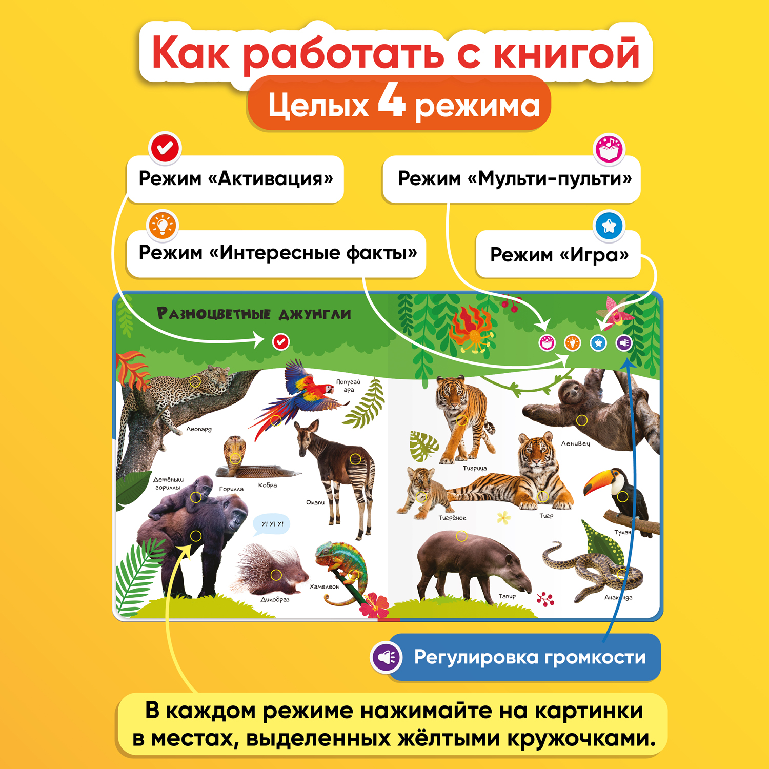 Купить говорящая книга BertToys Нажималка большая Животные, цены на  Мегамаркет