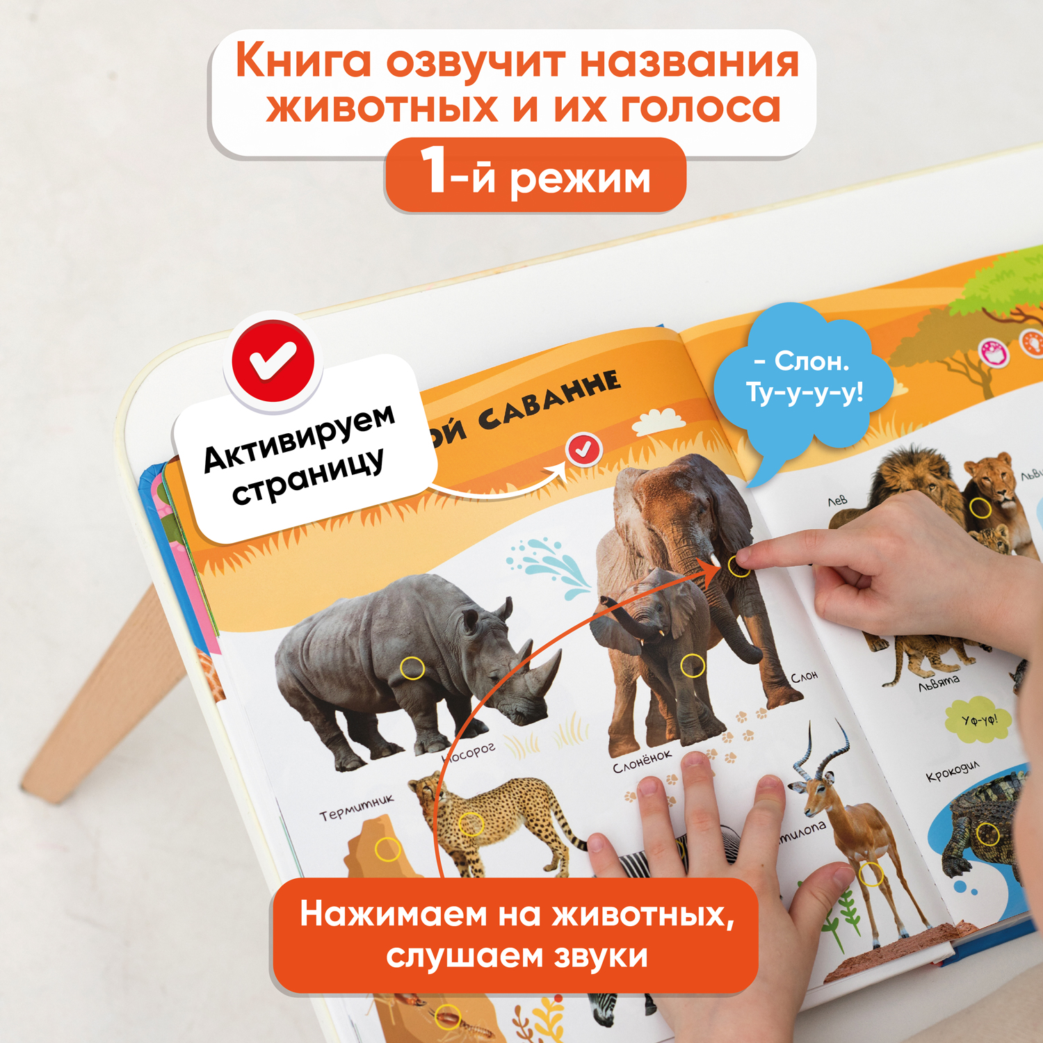 Купить говорящая книга BertToys Нажималка большая Животные, цены на  Мегамаркет