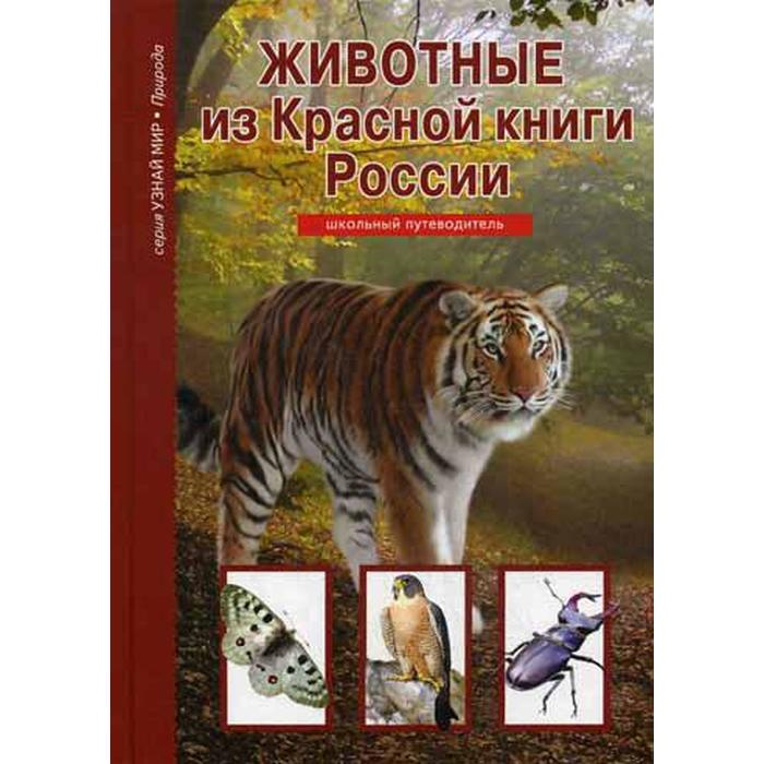 Красная книга и их животные. Какие животные записаные в красную книгу. Животные красной книги росси. Красная книга и их животные. Рассказ о животных из красной книги.