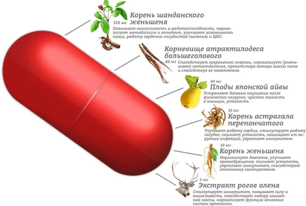 Что такое спортивное питание?