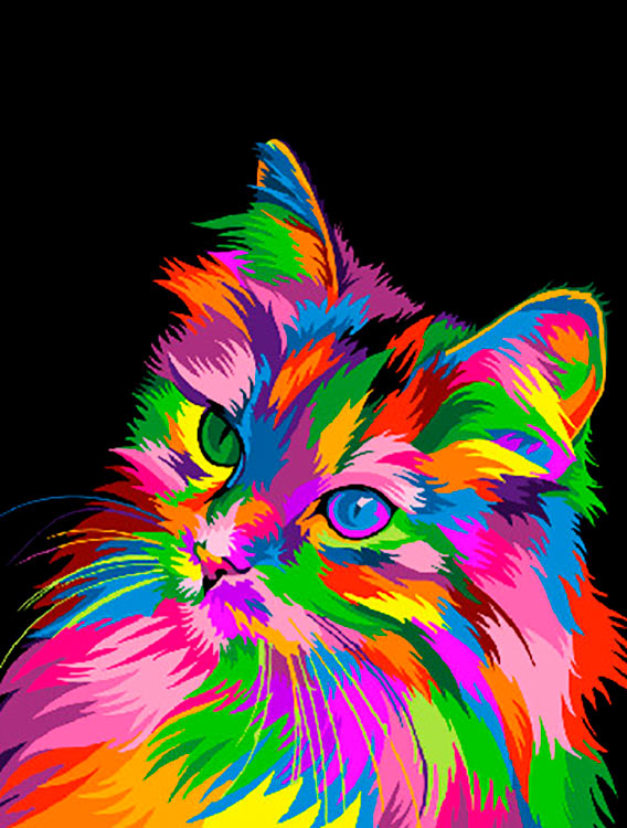Радужные котики