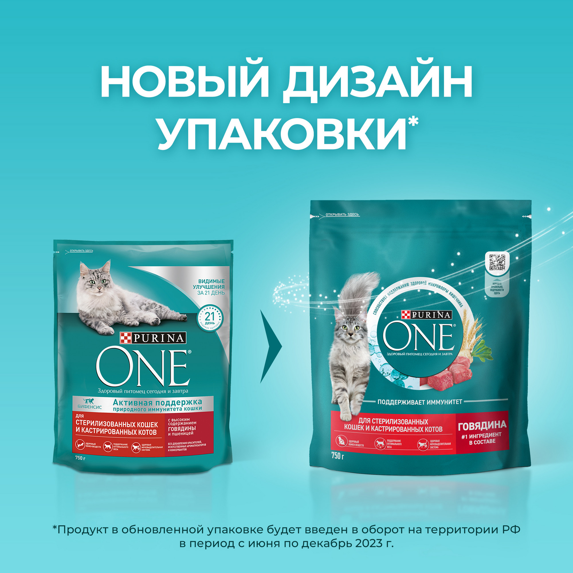 Купить сухой корм для кошек Purina ONE для стерилизованных с говядиной и  пшеницей, 750 г, цены на Мегамаркет | Артикул: 100023052011