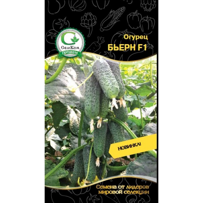 Огурец сорт бьерн. Огурец бьерн f1. Сорт берн. Семена огурцов берн. Бьерн f1.