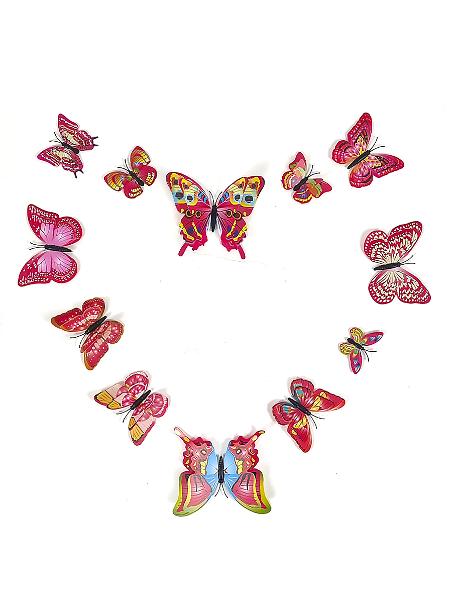 Butterfly 12
