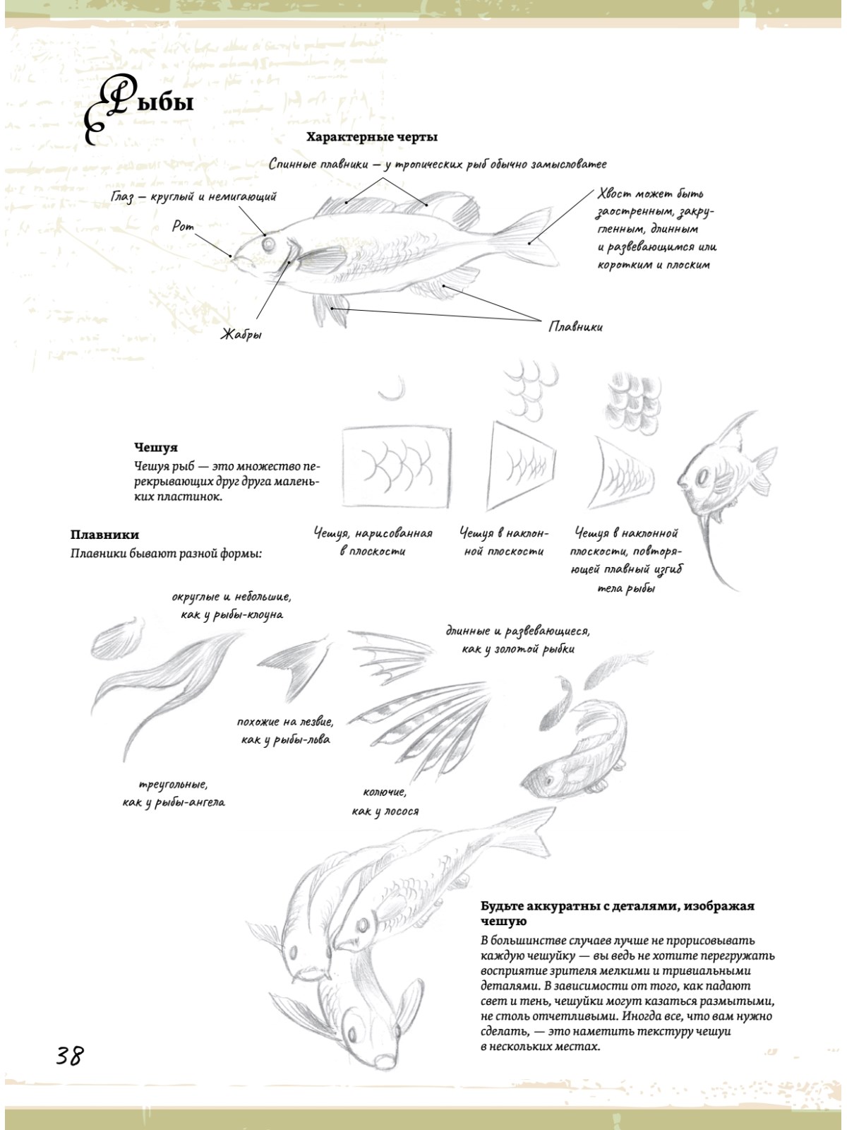 Рисуем фантастических существ пошаговый самоучитель