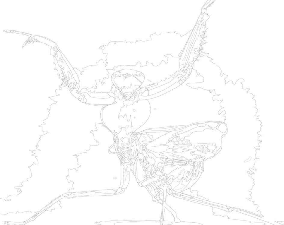 Карта богомола. Деревня Богомолов карта. Магическая битва арты раскраски. Бог Богомолов карта. Боссы богомолы на карте хк.